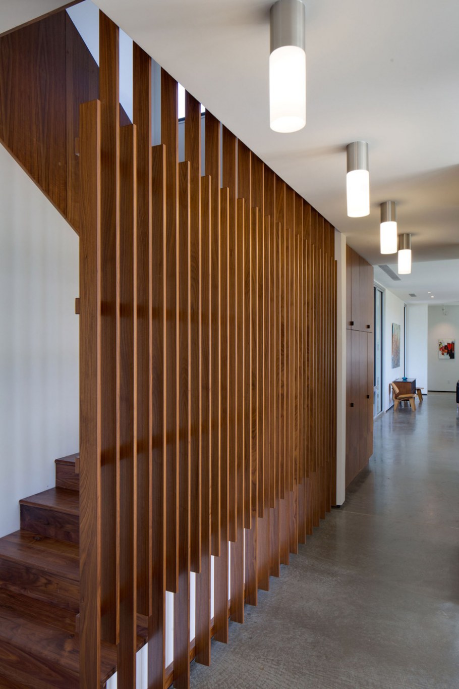 Ламелия перегородка