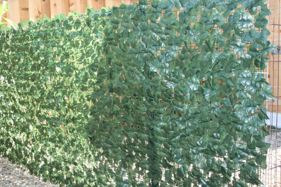 Живая изгородь вьюны