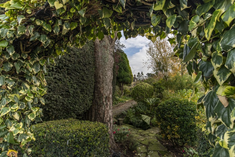 Сарай с плющом