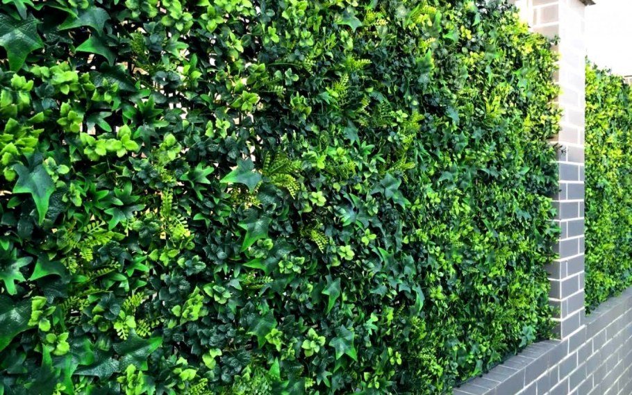 Стена из плюща