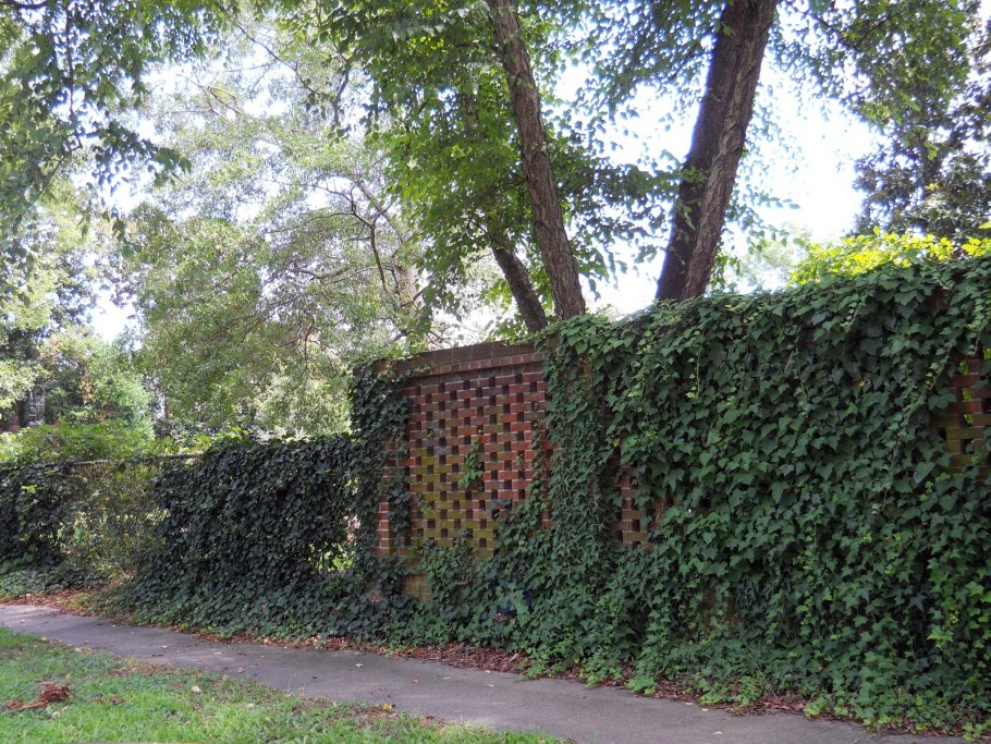 Голландский сад изгородь