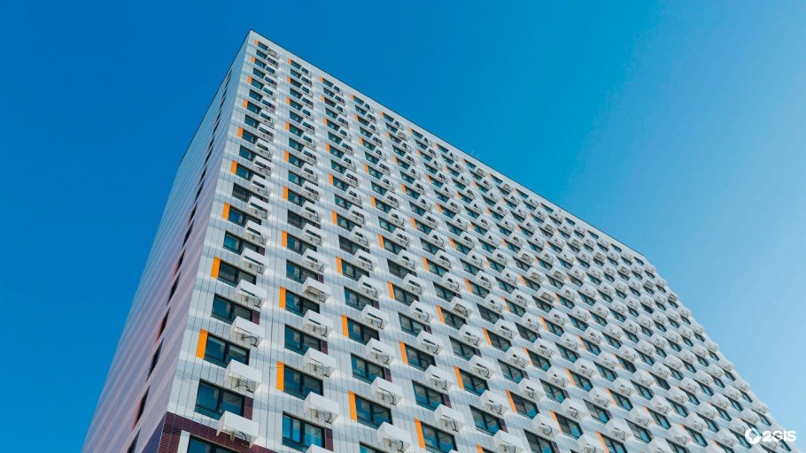 Измайловский лес 2019