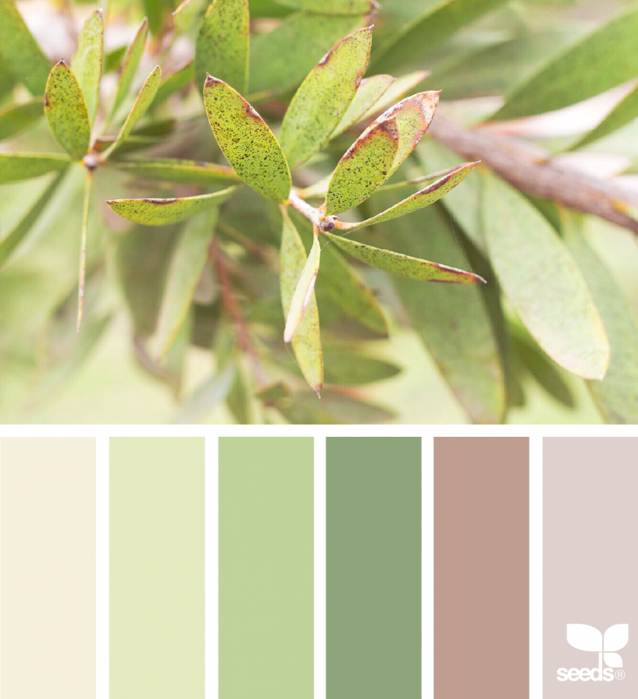 Цвет компаньон к зеленому