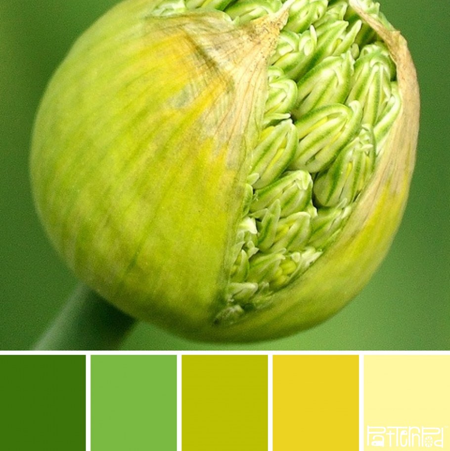 Палитра шалфей селадон олива