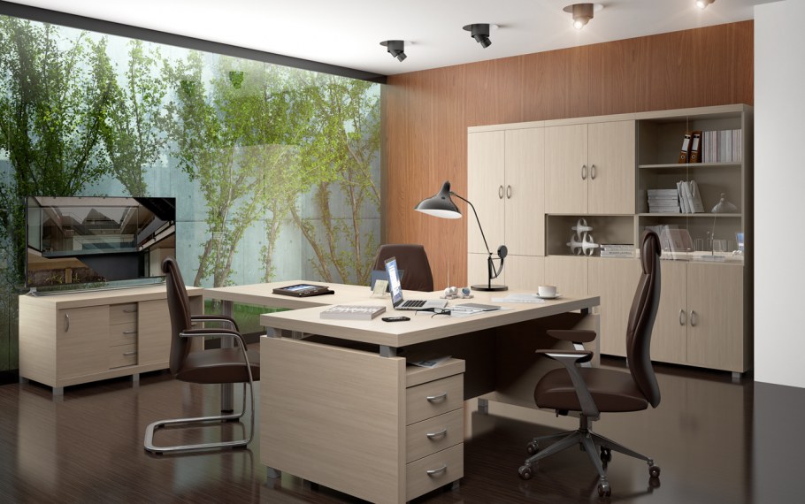 Кабинет руководителя Модерн Шамони темный