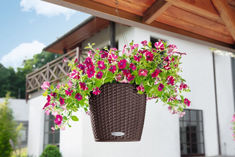 Подвесное кашпо Лечуза Lechuza