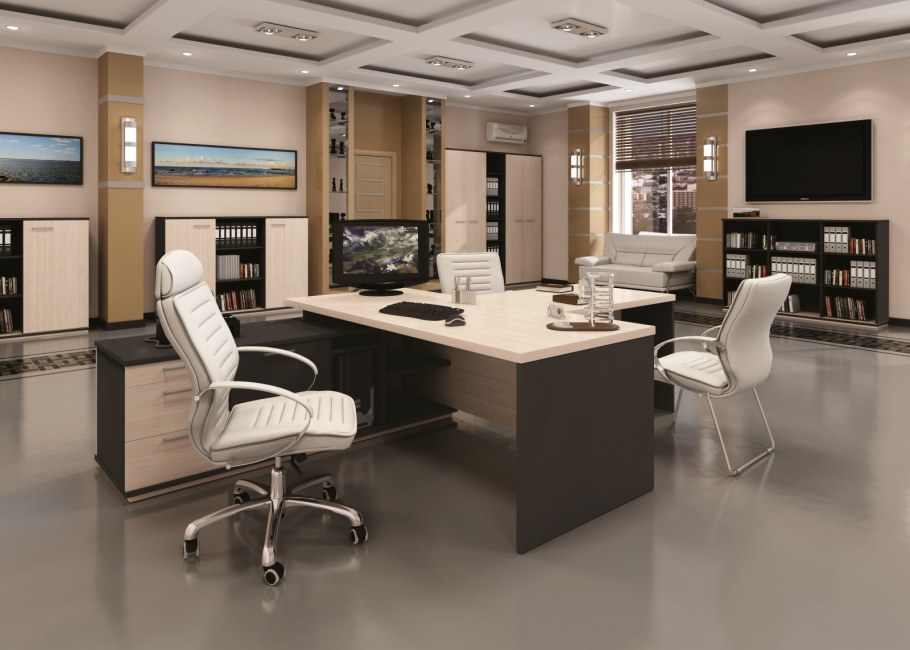 Стол руководителя сенатор Феликс