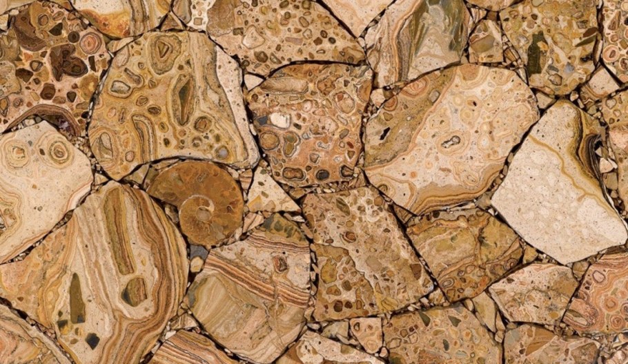 Яшма окаменелое дерево