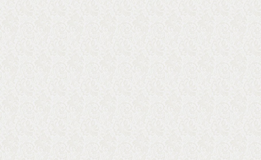 Vilia Люкс 1004-11