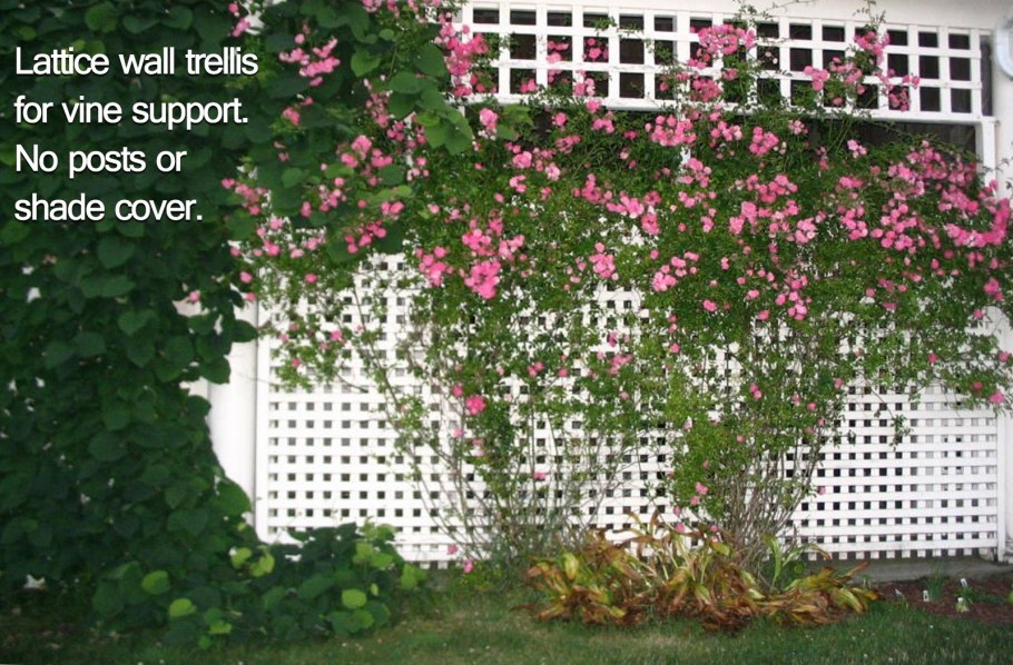 Клематис горный грандифлора