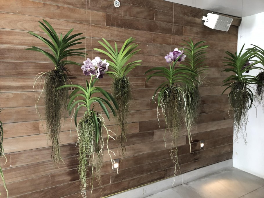 Красивый подоконник с цветами