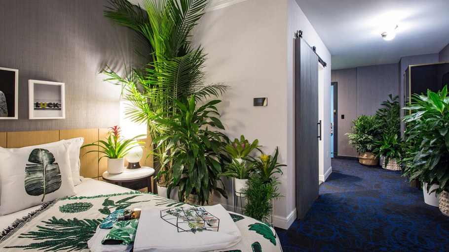 Гортензия в интерьере квартиры