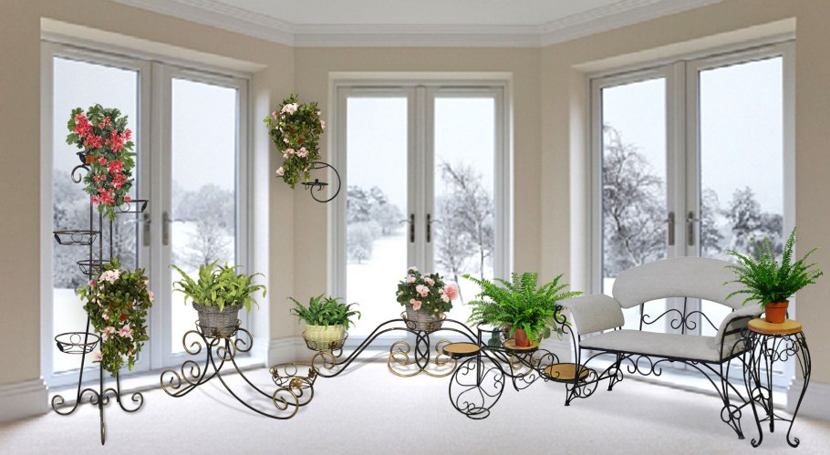 Стильные комнатные растения в интерьере