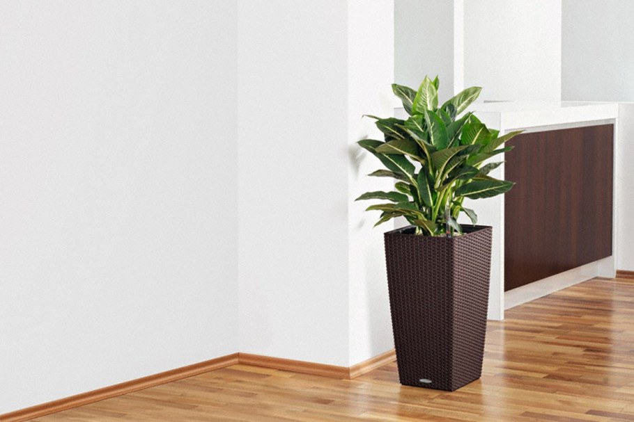 Кашпо с автополивом Lechuza cubico напольное