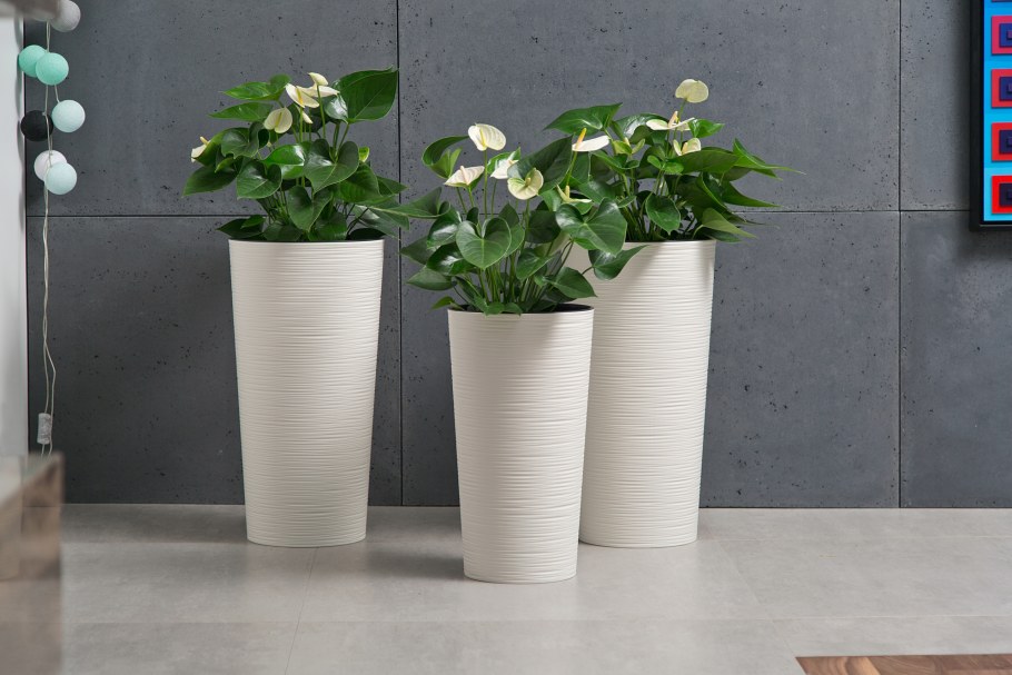 Lamela Lilia dluto кашпо