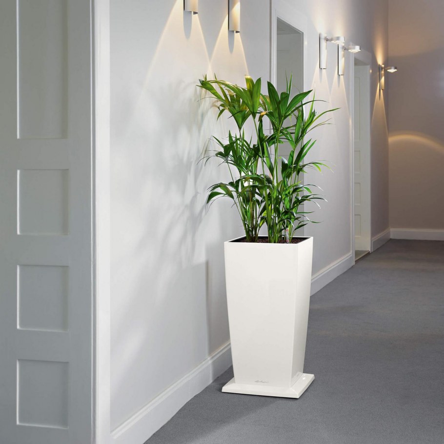 Кашпо Лечуза cubico