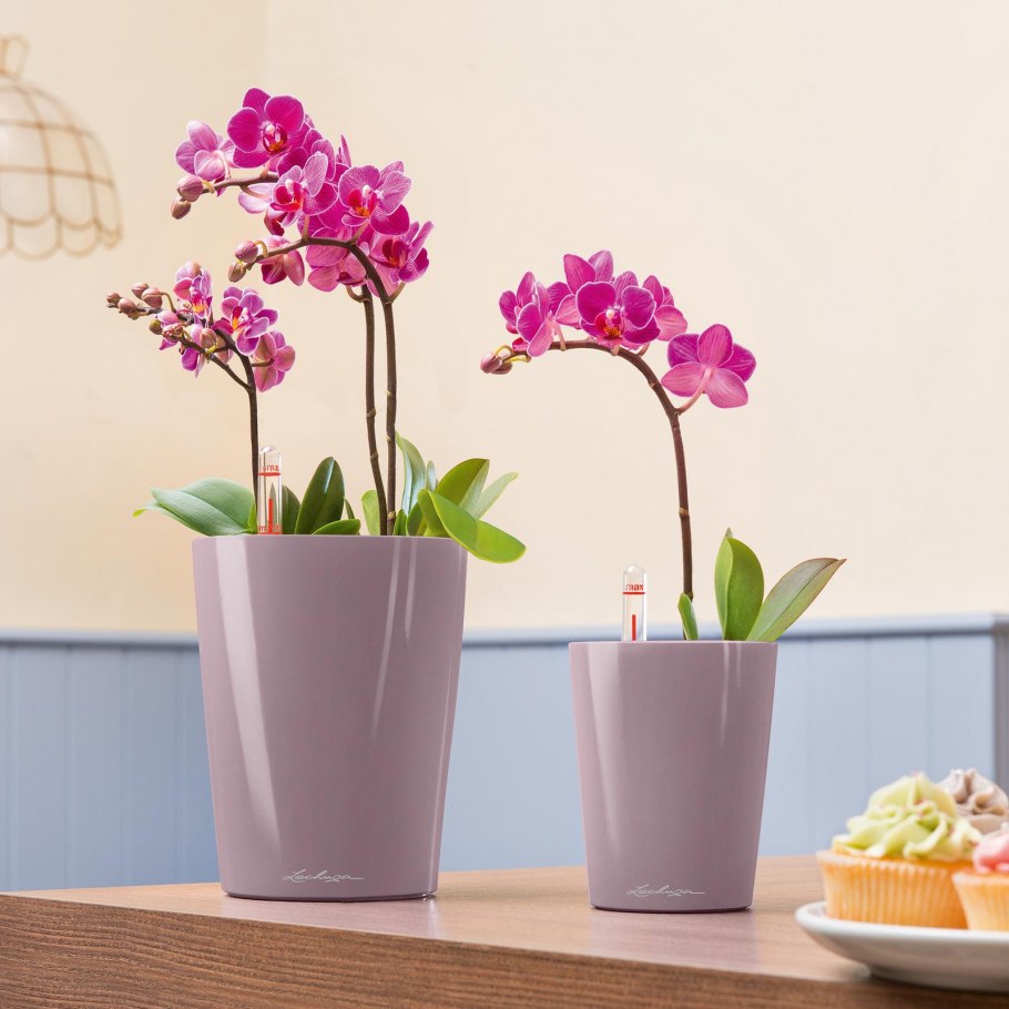 Кашпо Lechuza Mini Deltini