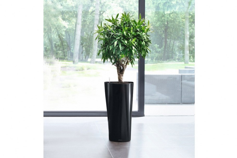 Lechuza Delta Premium