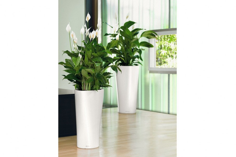 Кашпо Lechuza Delta 30