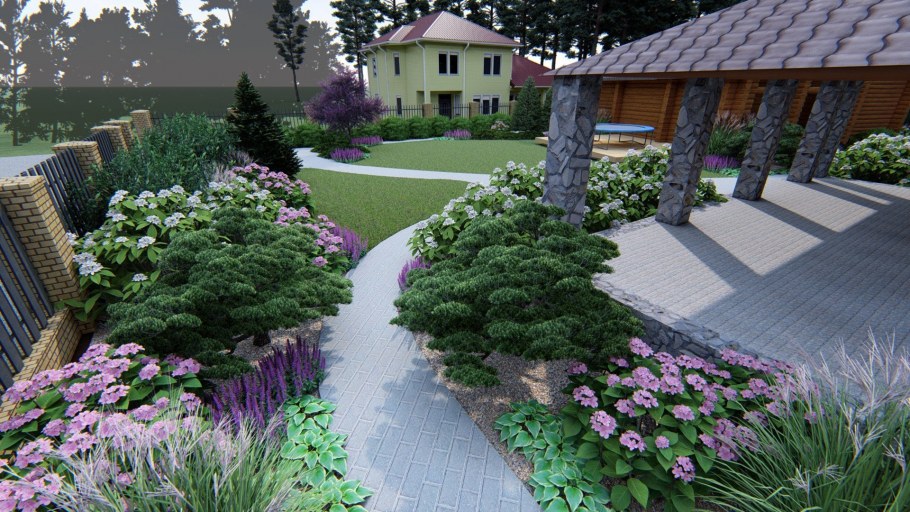 Самшит Буксус бордюрная