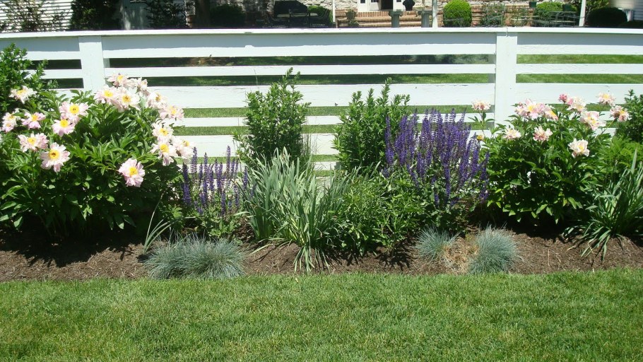 Клумба рабатка из многолетников