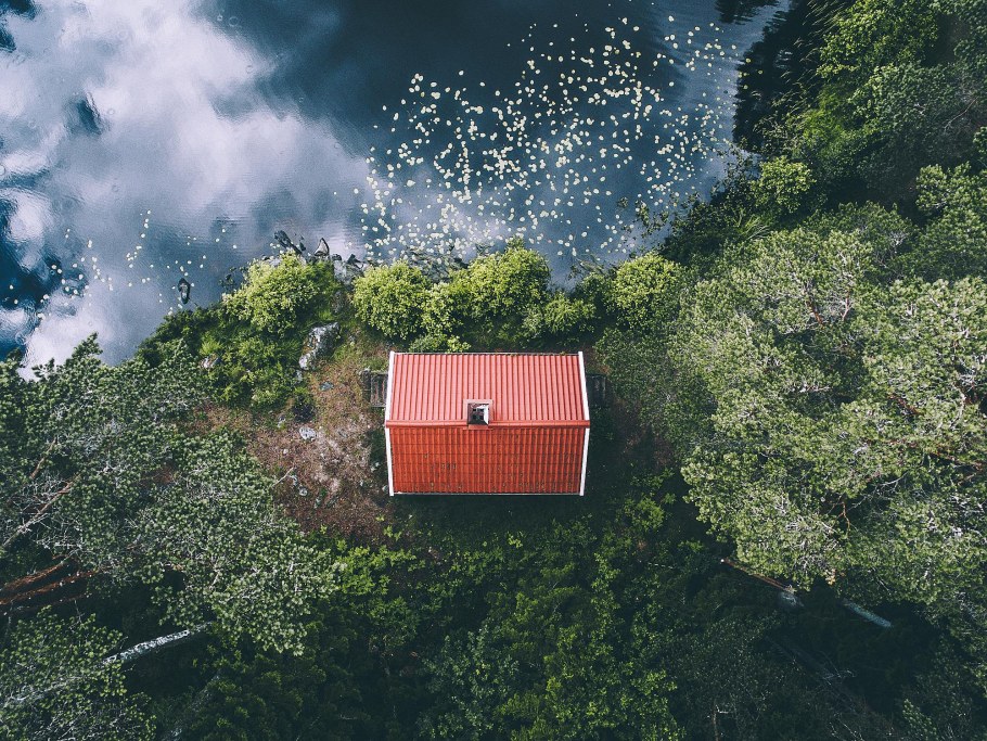 Дом в лесу вид сверху