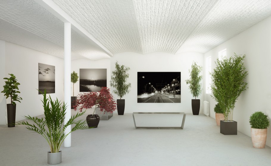 Озеленение гостиной комнаты