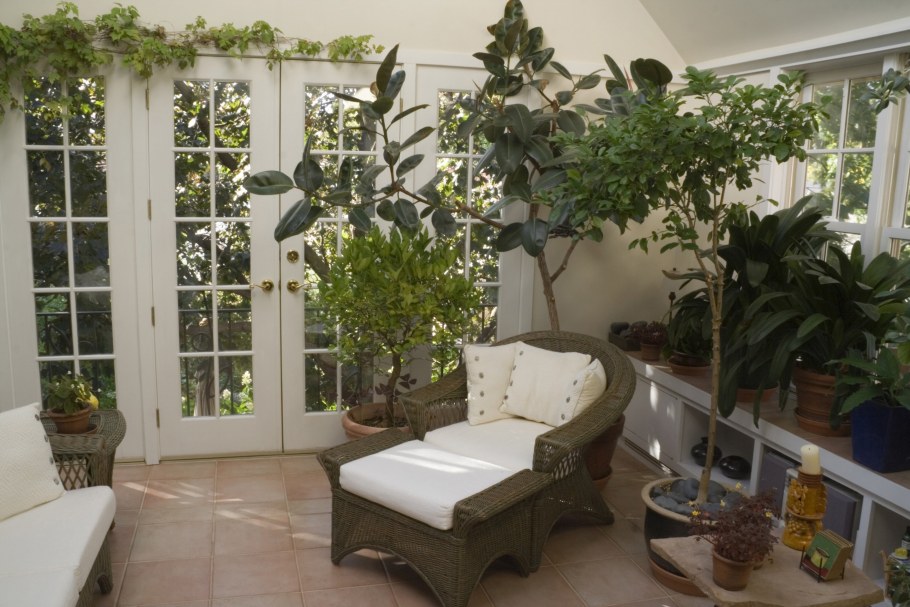 Комнатные растения в интерьере