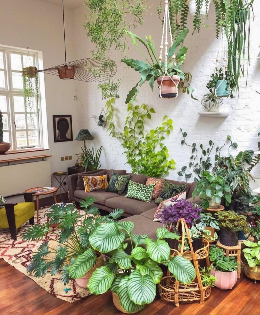 Комнатные цветы в интерьере