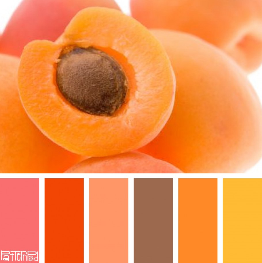 Палитра беж персик пантон