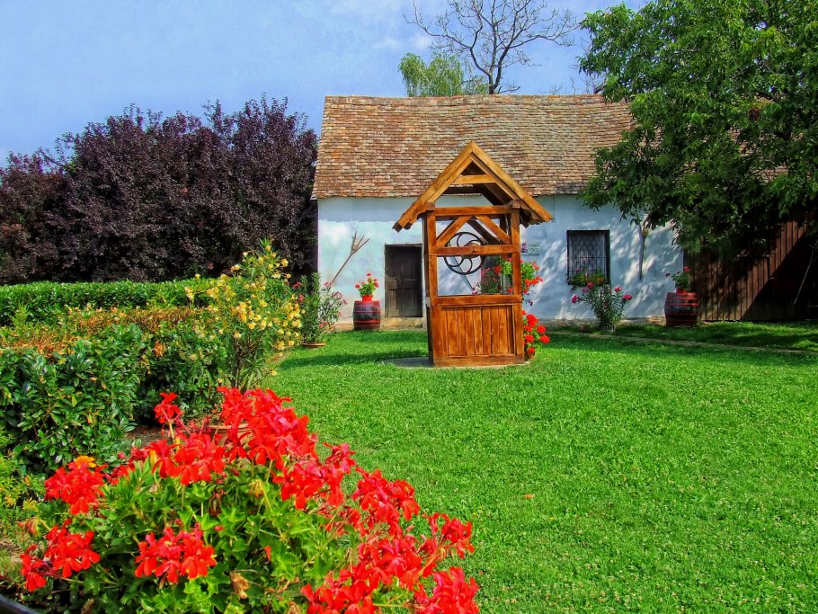 Двор в деревне