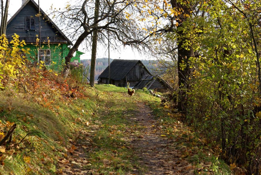 Двор в деревне