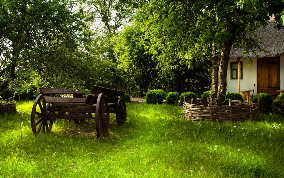 Двор в деревне