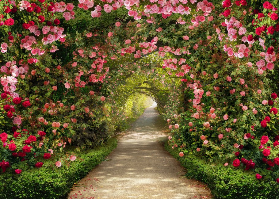 ЭКОДИЗАЙН В интерьере