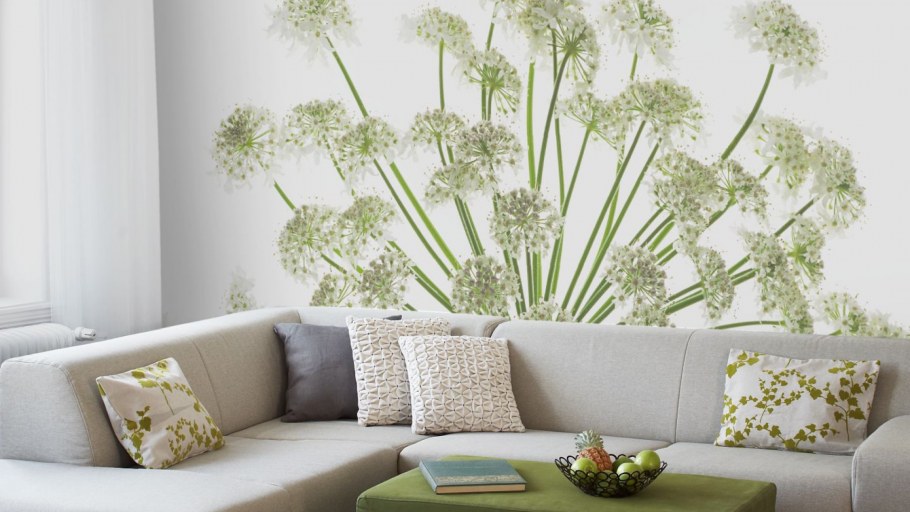 Цветы на стене