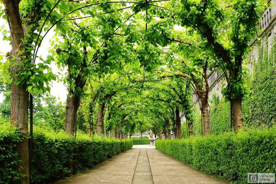Зеленые аллеи