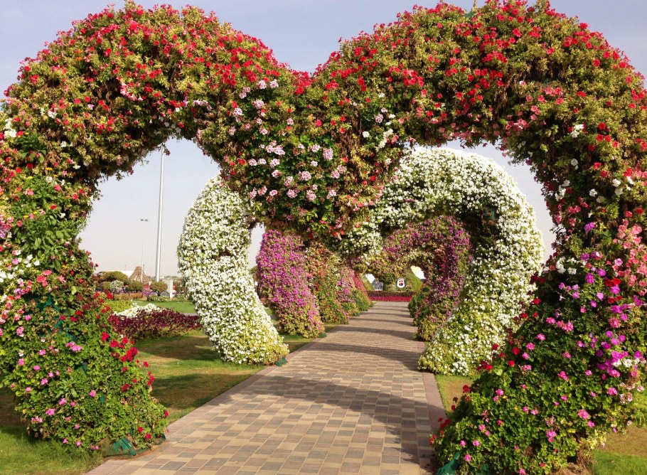 Фотопанно вишня в саду