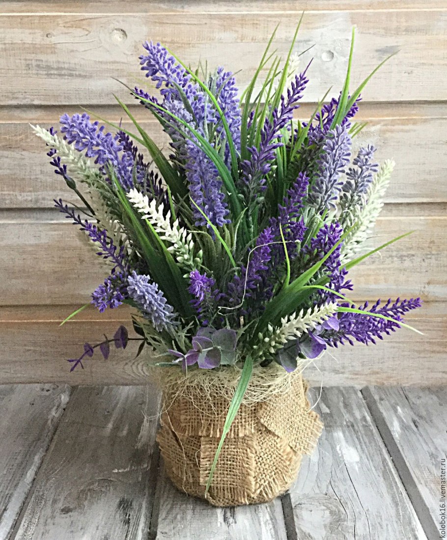 Лаванда сухоцвет флористика