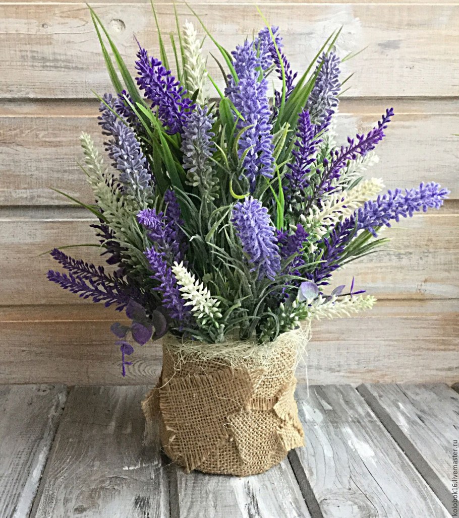 Розмарин Прованс