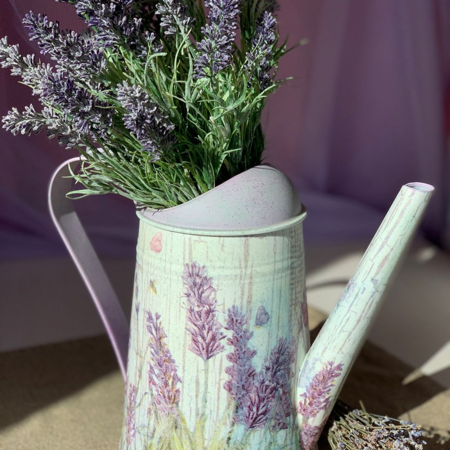 Лаванда лейка Амфора