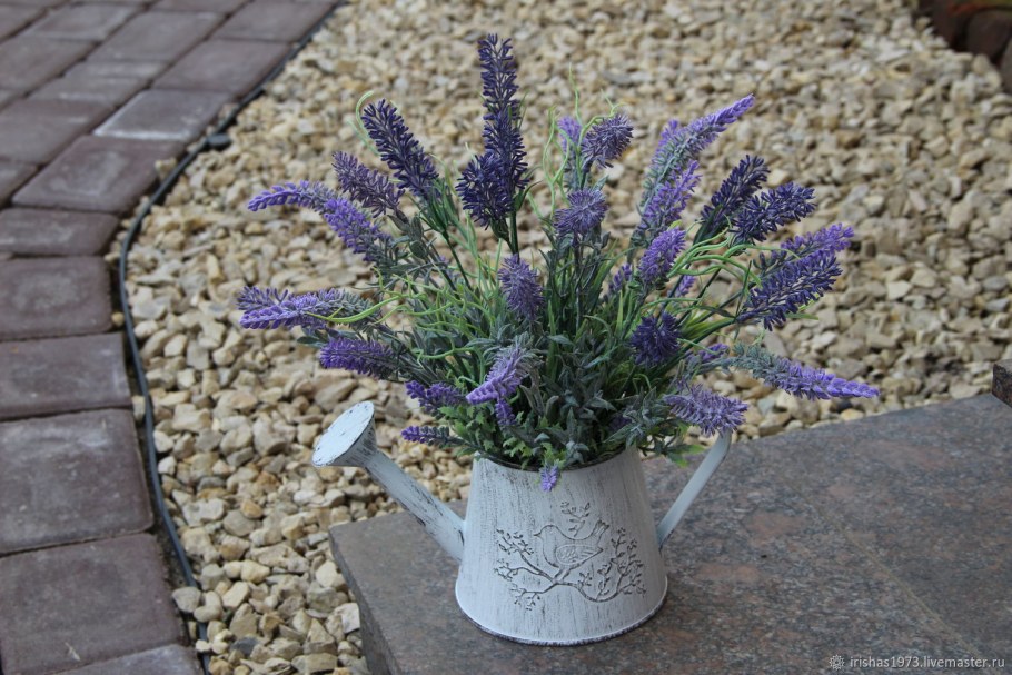 Лаванда в горшке
