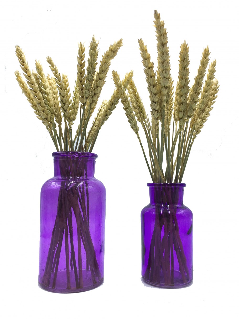 Композиции из лаванды для интерьера своими руками