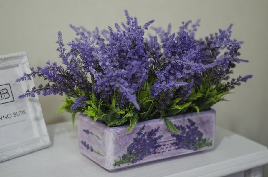 Лаванда букет Прованс