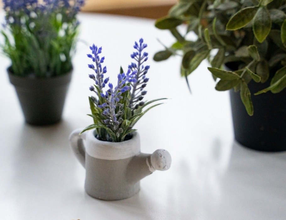 С 20 Фе Лаванда