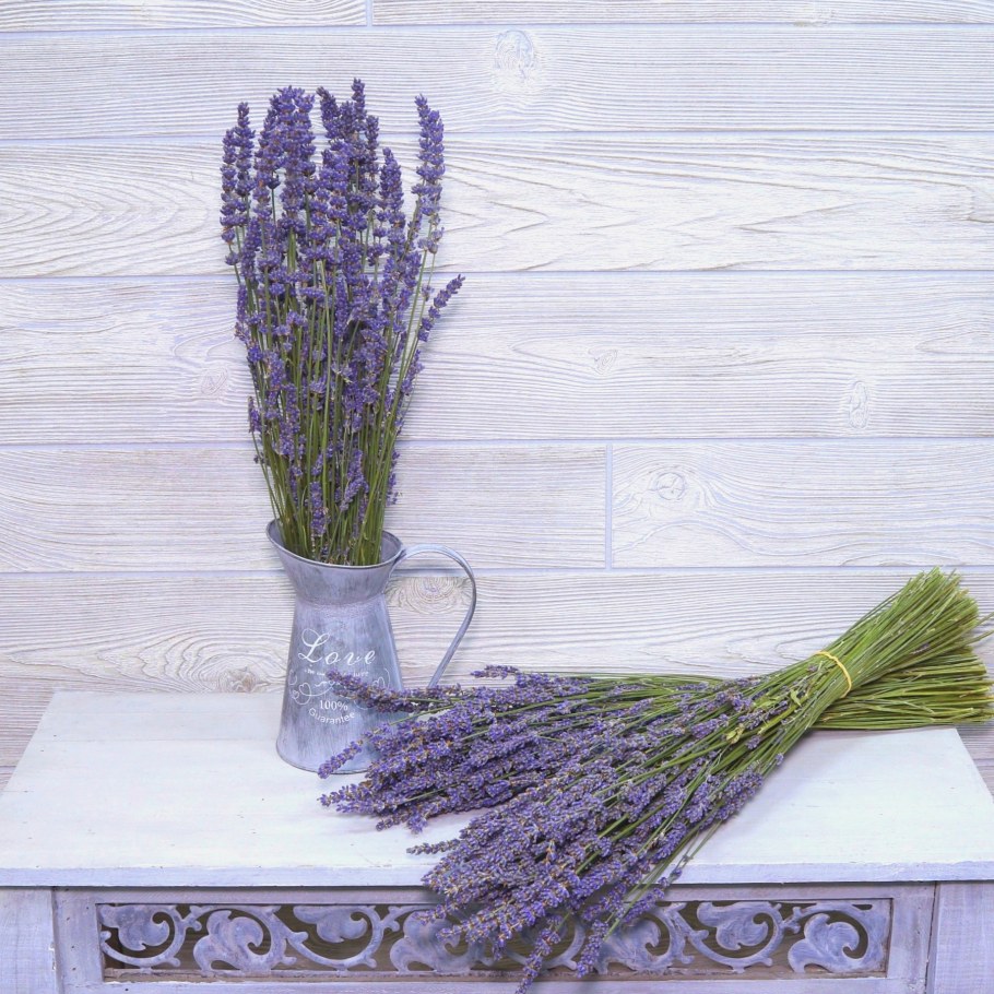 Лаванда декоративная