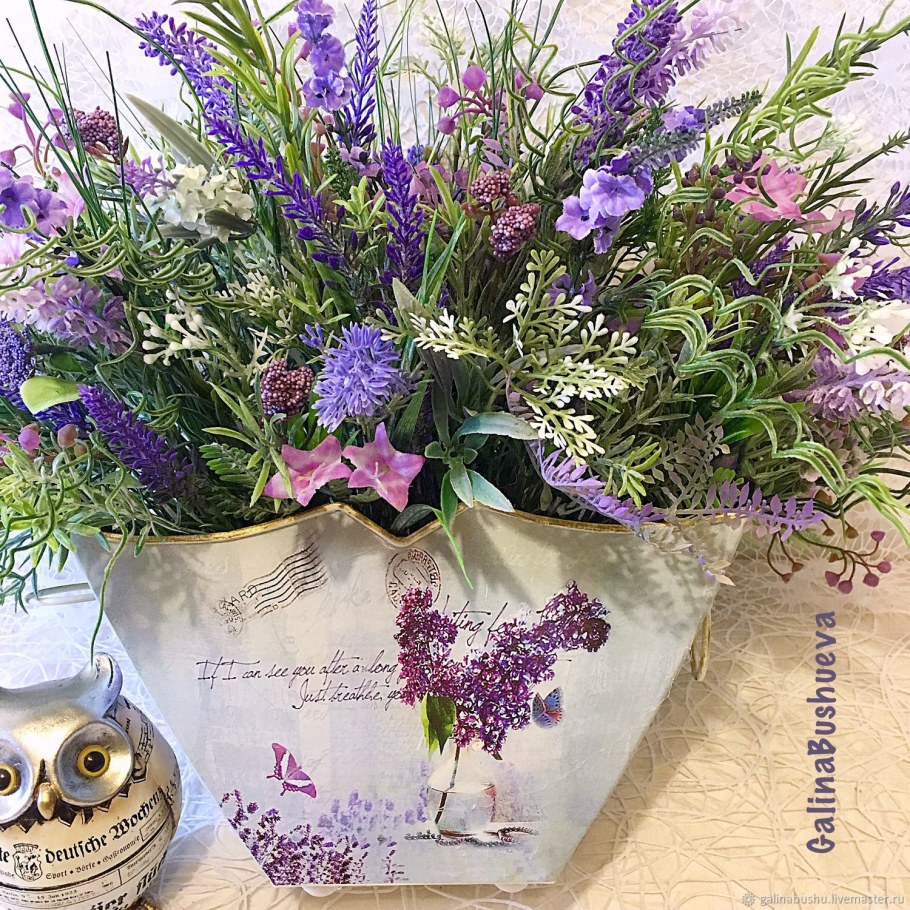 Лаванда комнатная