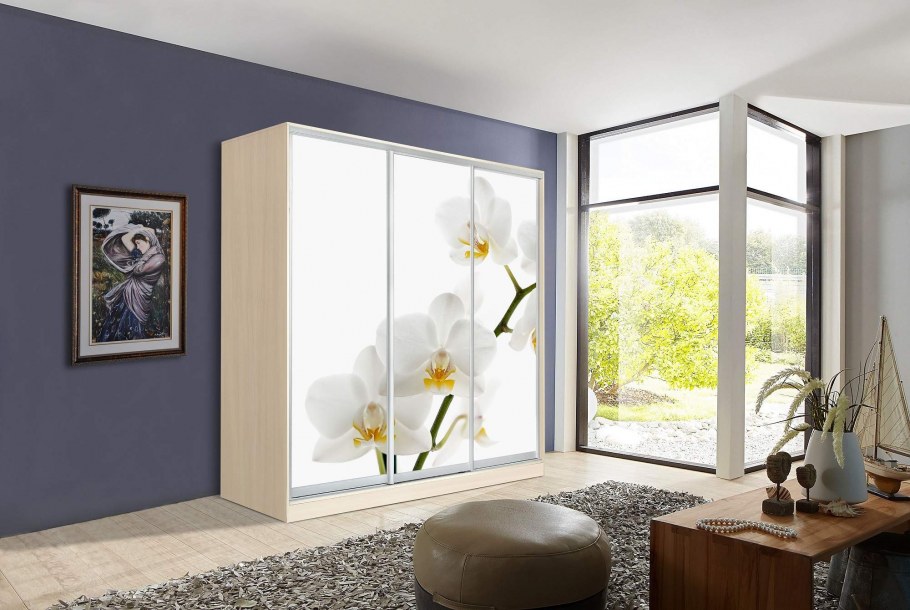 Шкаф купе Оскар 3