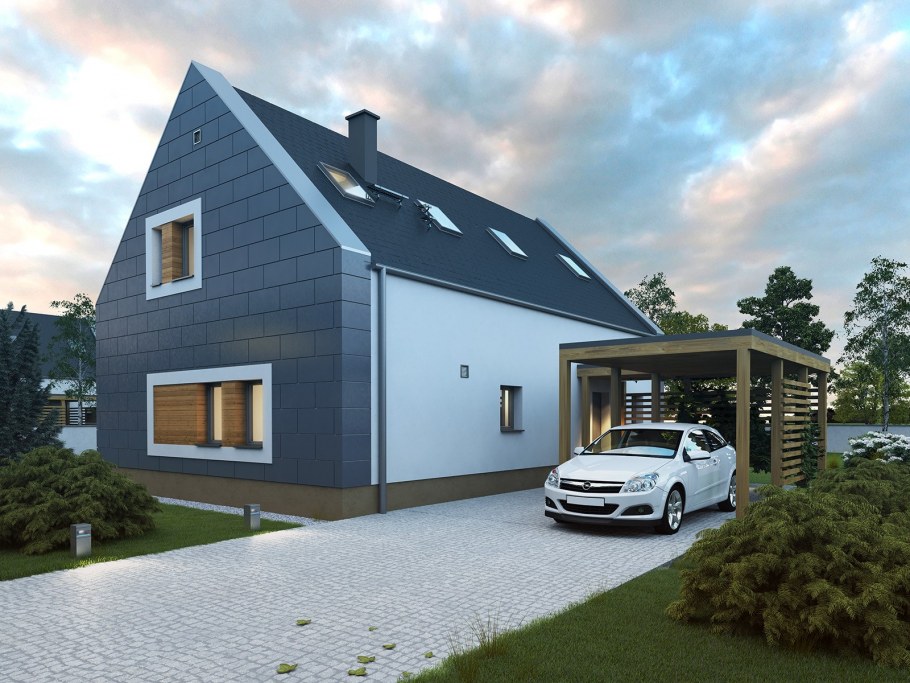 Проект дома сарайного типа