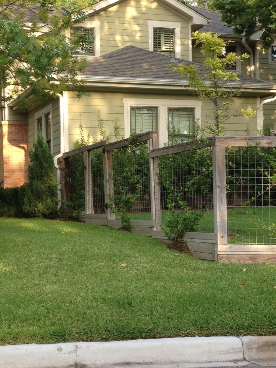 Изгородь во дворе