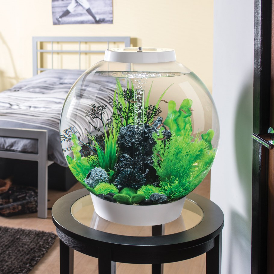 Акваскейп в круглом аквариуме